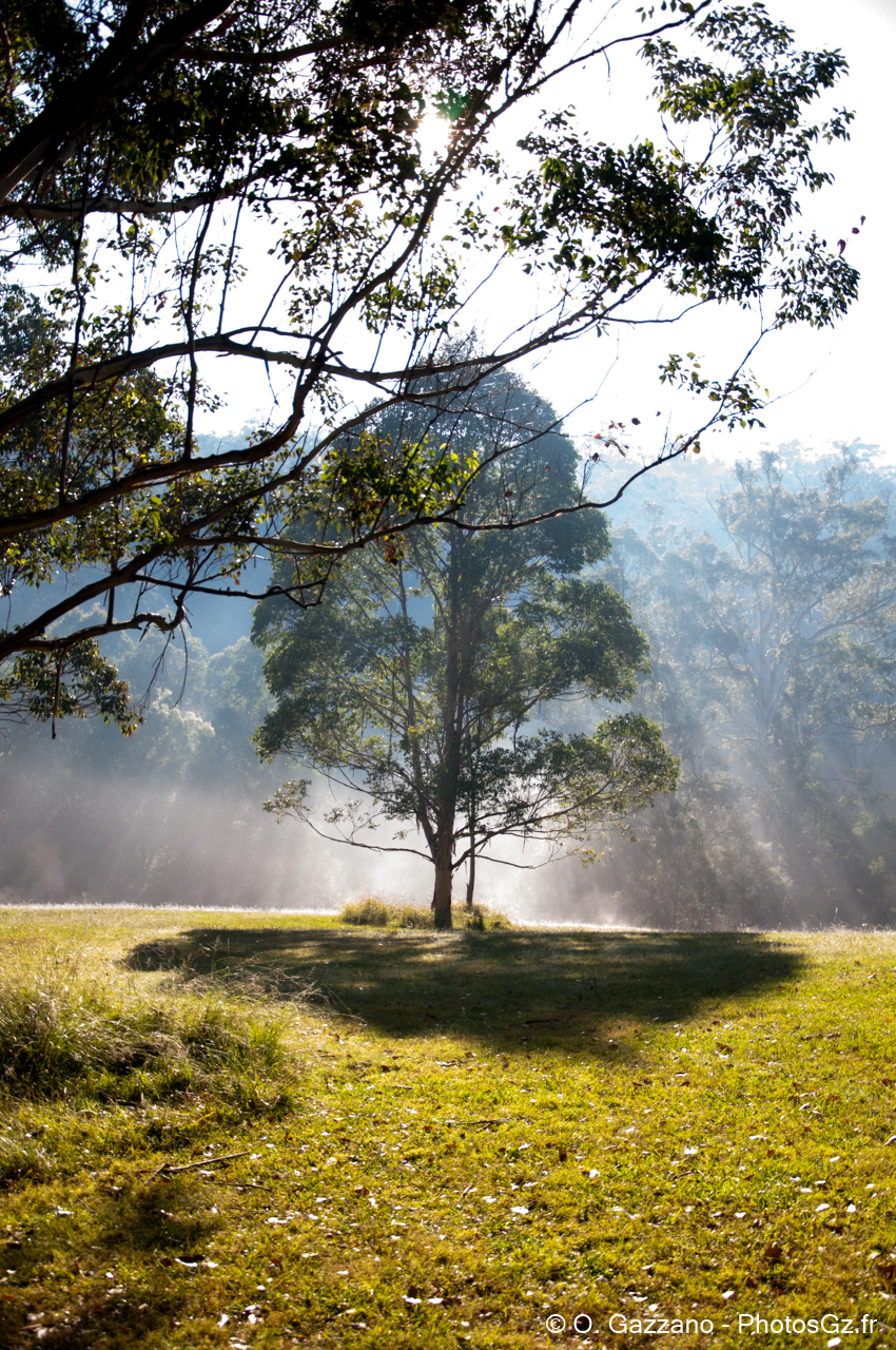 Promenade matinale..Blue Mountains, Australie - 12 mai 2013